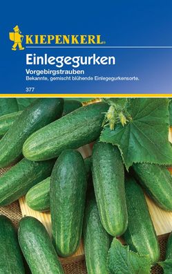 KIEPENKERL® Einlegegurken Vorgebirgstrauben - Gemüsesamen