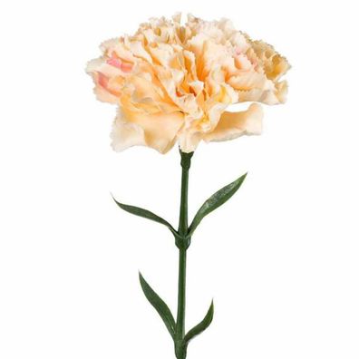 GASPER Nelke Apricot 67 cm - Kunstblumen