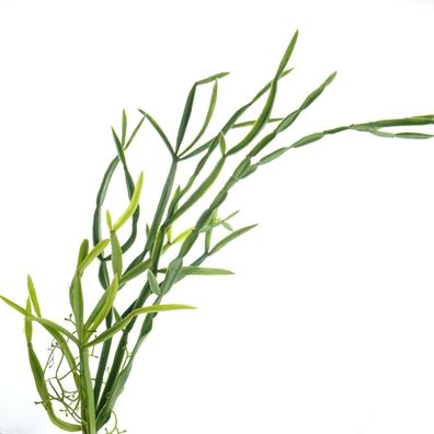 GASPER Kakteen - Rhipsalisranke 63 cm - Kunstblumen