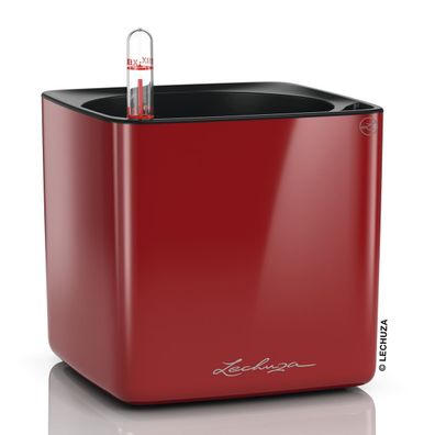 LECHUZA® Tischgefäße CUBE Glossy 14 Scarlet rot hochglänzend