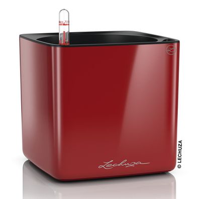 LECHUZA® Tischgefäße CUBE Glossy 16 Scarlet rot hochglänzend