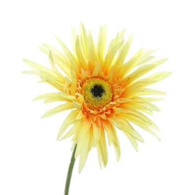 GASPER Gerbera Gelb & Orange 66 cm - Kunstblumen