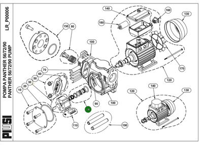 Piusi Wellendichtungssatz für Dieselpumpe Betankungspumpe Panther 56/72/90