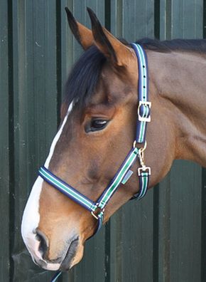 Halter Dublin Cob Striped/Navy