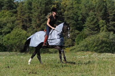 Bucas Buzz-off Riding, Fliegenausreitdecke, Silber-blau, Gr. L