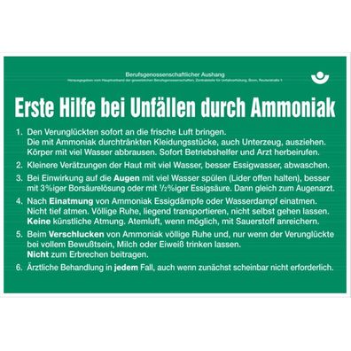 Aushang, Erste Hilfe bei Unfällen durch Ammoniak, Alu, 300 x 430 mm