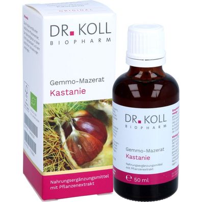 Gemmo-Mazerat Kastanie Dr. Koll Castanea vesca