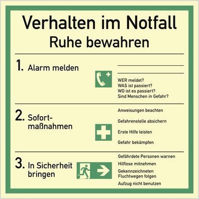 Verhalten im Notfall, Kombischild, ISO 7010