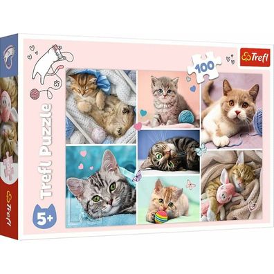 TREFL Puzzle In der Welt der Katze 100 Teile