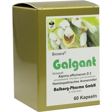 Galgant