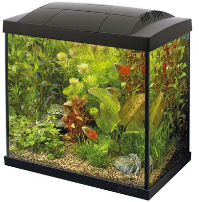 SF Tropical Set 30 Aquarium schwarz inkl. Filter, Heizer, LED usw