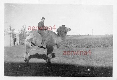 deutscher Soldat mit Karnell Ostfront