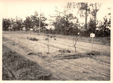 Vormarsch Strasse Division Zeichen Kiew Ostfront