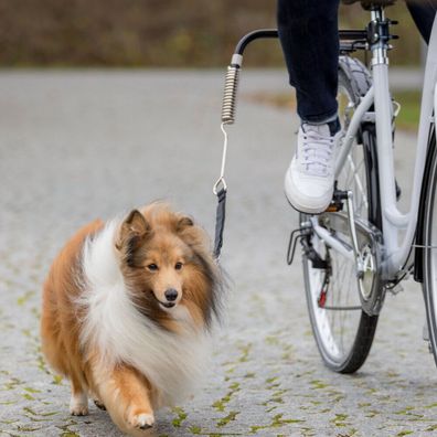 Trixie Biker-Set de Luxe Abstandshalter für Hunde 1287 Fahrrad unterwegs Radtour