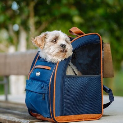 Nobby Rucksack TOMEK blau 43x20x28cm bis 8kg Tragetasche Tasche Hund Katze