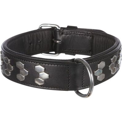 Trixie Active Halsband Echtleder schwarz Größen M/L/L-XL/XL verziert Hund