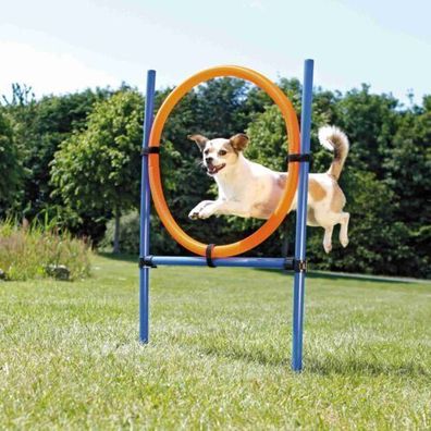 Trixie Fun Agility Ring, Kunststoff 115 × ø 3 cm, ø 65 cm, blau/orange Hund