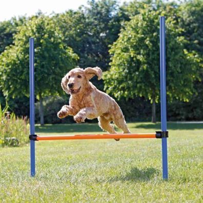 Trixie Fun Agility Hürde, Kunststoff 123 × 115 cm, ø 3 cm, blau/orange Hund