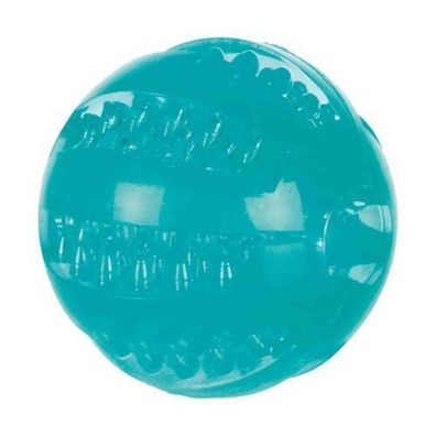 Trixie Denta Fun Ball, Minzgeschmack, TPR ø 6 cm massiert das Zahnfleisch Hund