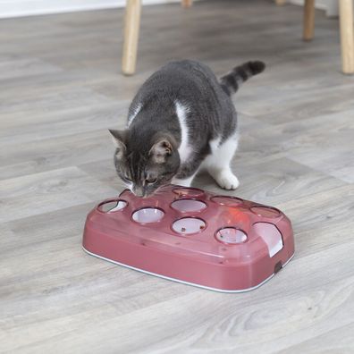 Trixie Katzen-Intelligenzspielzeug Soccer Training Spaß Leckerlie Snack