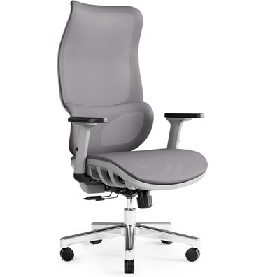 JOYFLY Bürostuhl Ergonomisch Schreibtisch Verstellbare Chefsessel Mesh Grau