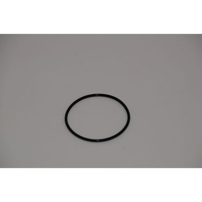 Johnson O-Ring 0.2173.476