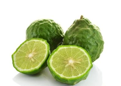 Bio Kaffir-Limette Citrus Hystrix Kaffir Lime Kaffernlimette Papeda Combava