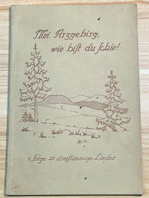 20 Lieder aus Erzgebirge-Mei Arzgebirg, wie bist du schie! 1. Folge 1937