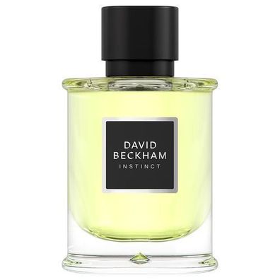 David Beckham Instinct Eau de Parfum, 75ml