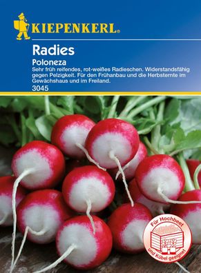 Kiepenkerl 3059 Radies / Radieschen Poloneza für Hochbeet und Kübel geeignet