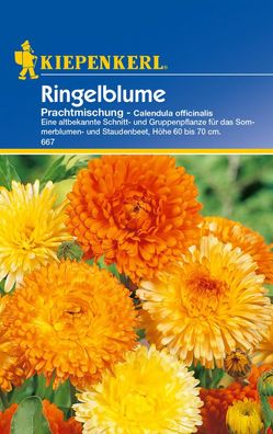 Kiepenkerl Ringelblume Calendula Prachtmischung