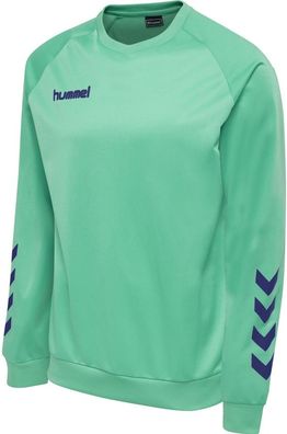 Hummel Sweatshirt Hmlpromo Poly Sweatshirt