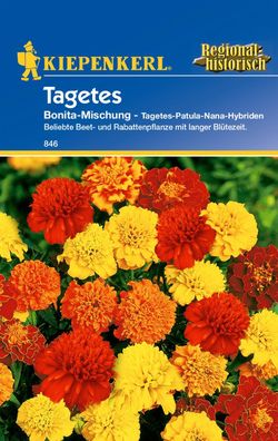 Tagetes Bonita-Mischung