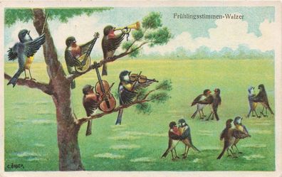 Vogel mit Musikinstrumenten Frühlingsstimmen - Walzer Postkarte 1926 Berlin