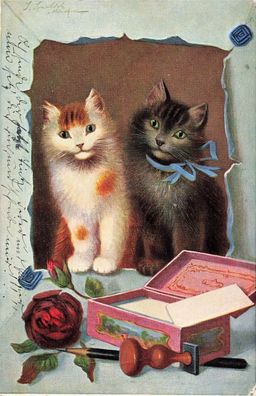 Zwei süßen Katzen Postkarte 1910