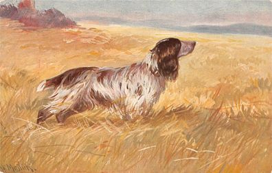 Jagd Hund A. Mailick Postkarte