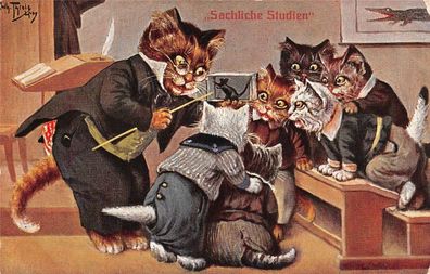 Schule Katzen Sachliche Studien Künstlerkarte Thiele T.S.N. Ser. 962