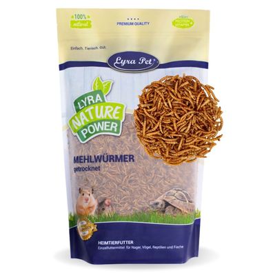 1 - 15 kg Lyra Pet® Mehlwürmer für Nager