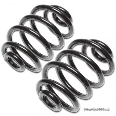 2 Streetstar SERIEN-FEDERN HINTEN FORD GALAXY BJ.95-|98 VW 5560 AB |HINTERACHSE