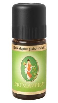 Primavera 6x Eukalyptus globulus bio Ätherisches Öl 10ml