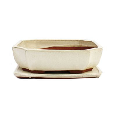 Bonsai-Schale mit Unterteller Gr. 5 - hellbeige - eckig - Modell G117 - L 31cm