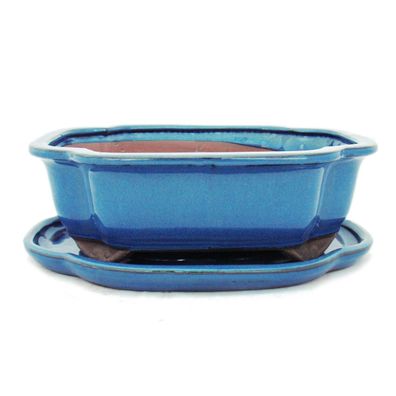 Bonsai-Schale mit Unterteller Gr. 4 - Blau - haitang/oval - Modell I4 - L 26cm