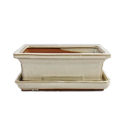 Bonsai-Schale mit Unterteller Gr. 3 - hellbeige - eckig - Modell G29 - L 18cm - B