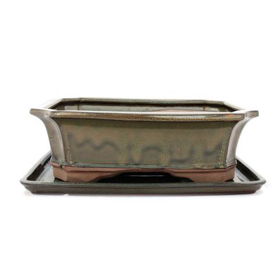 Bonsai-Schale mit Unterteller Gr. 5 - Oliv-Braun - eckig - Modell G4 - L 31cm - B