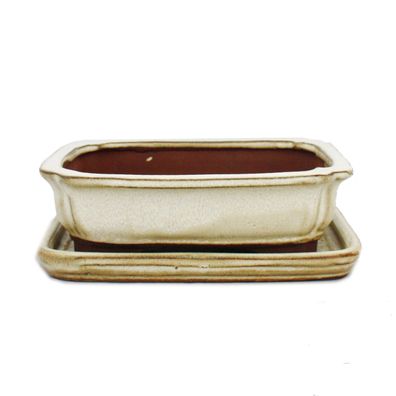 Bonsai-Schale mit Unterteller Gr. 2 hellbeige rechteckig Modell G12 L 15,5cm B