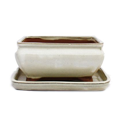 Bonsai-Schale mit Unterteller Gr. 2 - hellbeige - eckig - Modell G81 - L 14,5cm