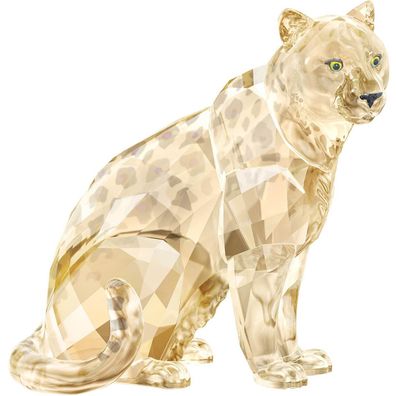 Swarovski SCS A.E. 2019 AMUR Leopard SOFIA 5428541