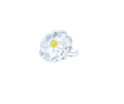 Swarovski SCS Wildblume (MITGLIEDSGESCHENK 2017) 5244642 AP 2017 AP 2017