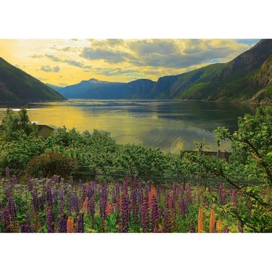 Ravensburger Puzzle Fjord in Norwegen 1000 Teile