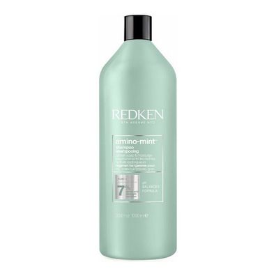 Shampoo Redken Amino Mint (1000ml)